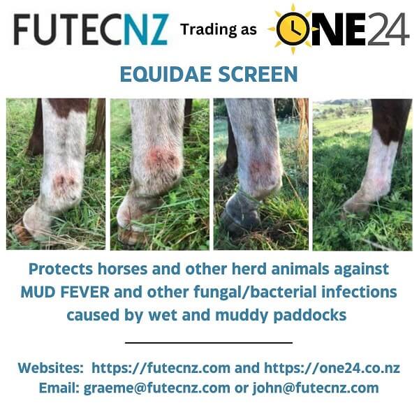 Equidae Screen – Protect your horse from Mud Fever